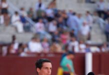 David Galván, enamora en Las Ventas