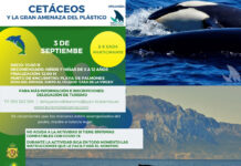 Programado el taller “Cetáceos y la gran amenaza del plástico” en Palmones
