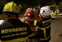 FOTOS | Eliminado un nido de avispa asiática en la dehesa de la Vega del Golf