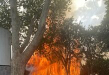 FOTOS | Bomberos y Policía Local actuaron en el fuego provocado en la antigua piscina municipal