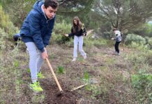 FOTOS | Repoblación en los montes de “La Teja”, con unos 1.500 árboles sembrados