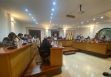 El Pleno aprueba las personas y entidades que serán homenajeadas el 28 de febrero