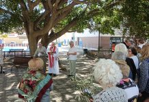 VÍDEO | Bendición de palmas y olivos en Los Cortijillos