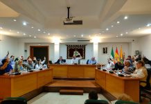 Unanimidad en el Pleno para la defensa del estudio y la financiación de las enfermedades raras