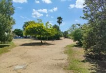 La Junta otorga al Ayuntamiento la concesión de los terrenos del paseo marítimo donde se ejecutará la remodelación del nuevo espacio verde