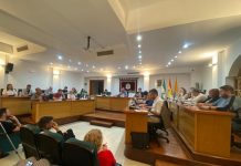 El Pleno aprueba una declaración con motivo del 25-N