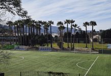 Movimiento Barreño cuestiona el elevado coste, 9.000 euros, de la poda de palmeras en el Polideportivo