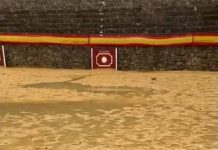 Aplazada la novillada del ‘Sábado Santo’ prevista en Villaluenga del Rosario por las intensas lluvias caídas
