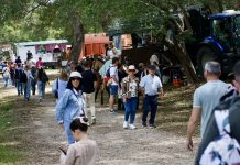 VÍDEOS | El buen ambiente en la Montera ha marcado el domingo en honor a San Isidro