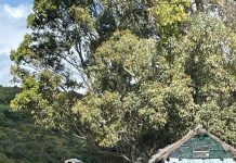 El Ayuntamiento recuerda en un bando las normas y prohibiciones para la Romería de San Isidro