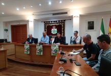 El Ayuntamiento implanta la APP Línea Verde para comunicar incidencias detectadas en materia de limpieza y parques y jardines