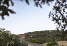 Los molinos harineros de La Teja (Los Barrios)