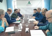La licitación de la restauración del antiguo puente de hierro sobre el río Palmones, en su fase final
