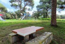 Trabajos de desbroce en la zona del Pinar de la Casilla