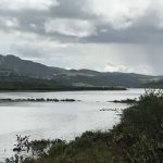 VÍDEO | Las intensas lluvias de estos días hace que Charco Redondo vaya recuperando su imagen ideal