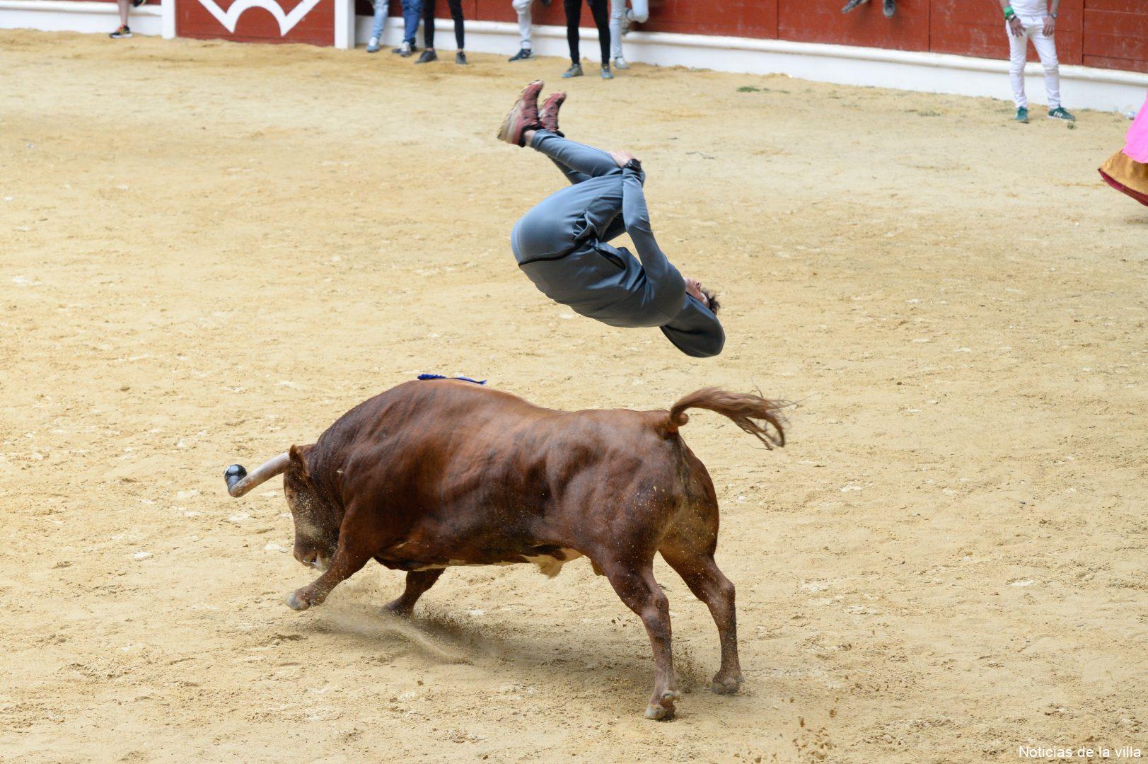 2025. Toro Embolao. Domingo (JH) (71)