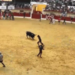 VÍDEO | ‘Jugador’, segundo toro embolao del domingo en Los Barrios