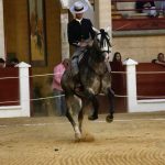 La Plaza de Toros de Los Barrios albergará un destacado concurso y exhibición de Doma Vaquera