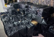 Intervenidas más de 22.000 cajetillas de tabaco de contrabando en dos parcelas de Los Barrios