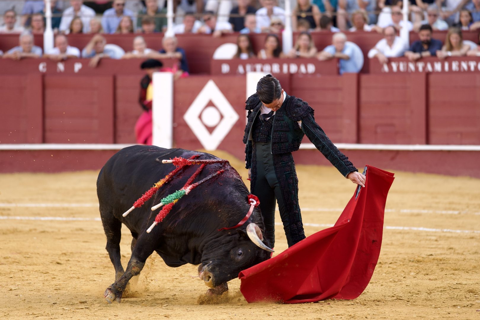 2025. Galvan. Malaga