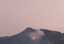 Controlado el incendio forestal en la finca La Granja