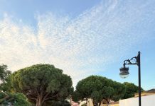 FOTOS | Los Barrios vivió su pasacalles repleta de alegría, música y tradición popular