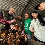 FOTOS | Una recolecta excepcional permite catalogar más de sesenta especies en las XII Jornadas Micológicas del Estrecho