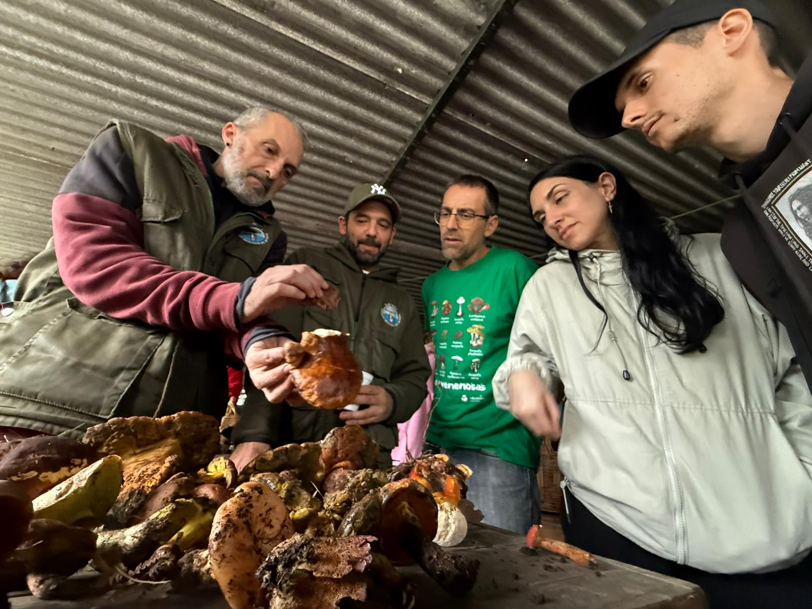 2025. Mairei. Recoleccion setas (4)