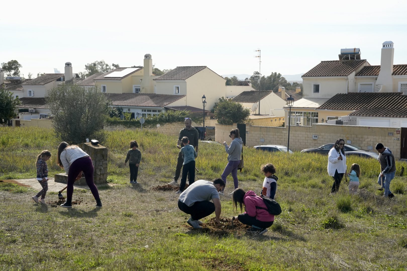 2025. Participación. Plantacion (66)