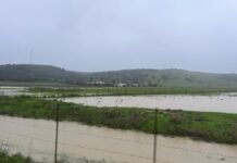 El municipio entra en aviso naranja por lluvias intensas y vientos de 100 kilómetros por hora