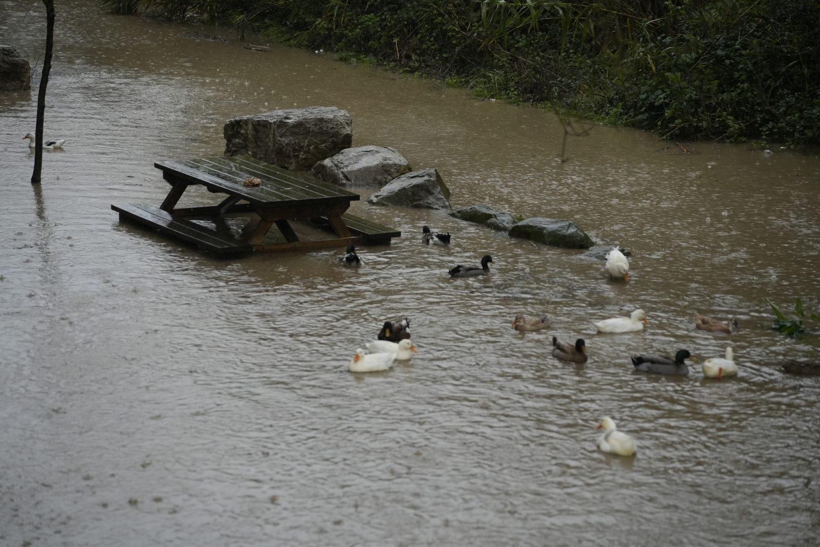 2026. Temporal. 04. 01 (AG) (34)