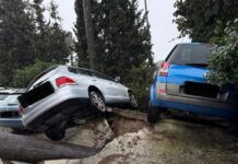 PSOE pide ayudas urgentes y la declaración de zona catastrófica para Los Barrios