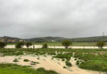 El Ayuntamiento de Los Barrios corta el acceso a Puente Romano tras el desbordamiento del río