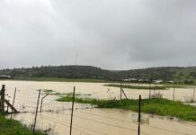 FOTOS | El desbordamiento del río Palmones anega por completo la vega fluvial del Ringo Rango