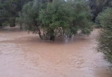 VÍDEO | La borrasca Leonardo desborda el caudal del río Palmones y arrastra numeroso material hasta la desembocadura
