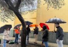 El Ayuntamiento inspecciona los colegios de Los Barrios para garantizar la seguridad tras el temporal