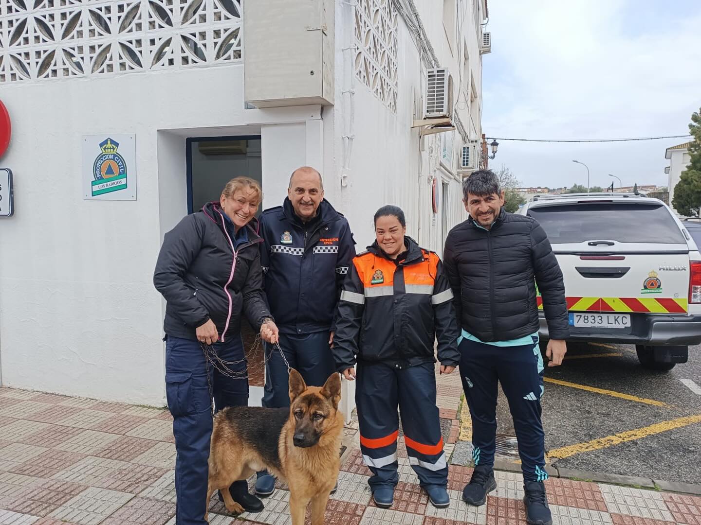 2026. Proteccion. Rescate Perro