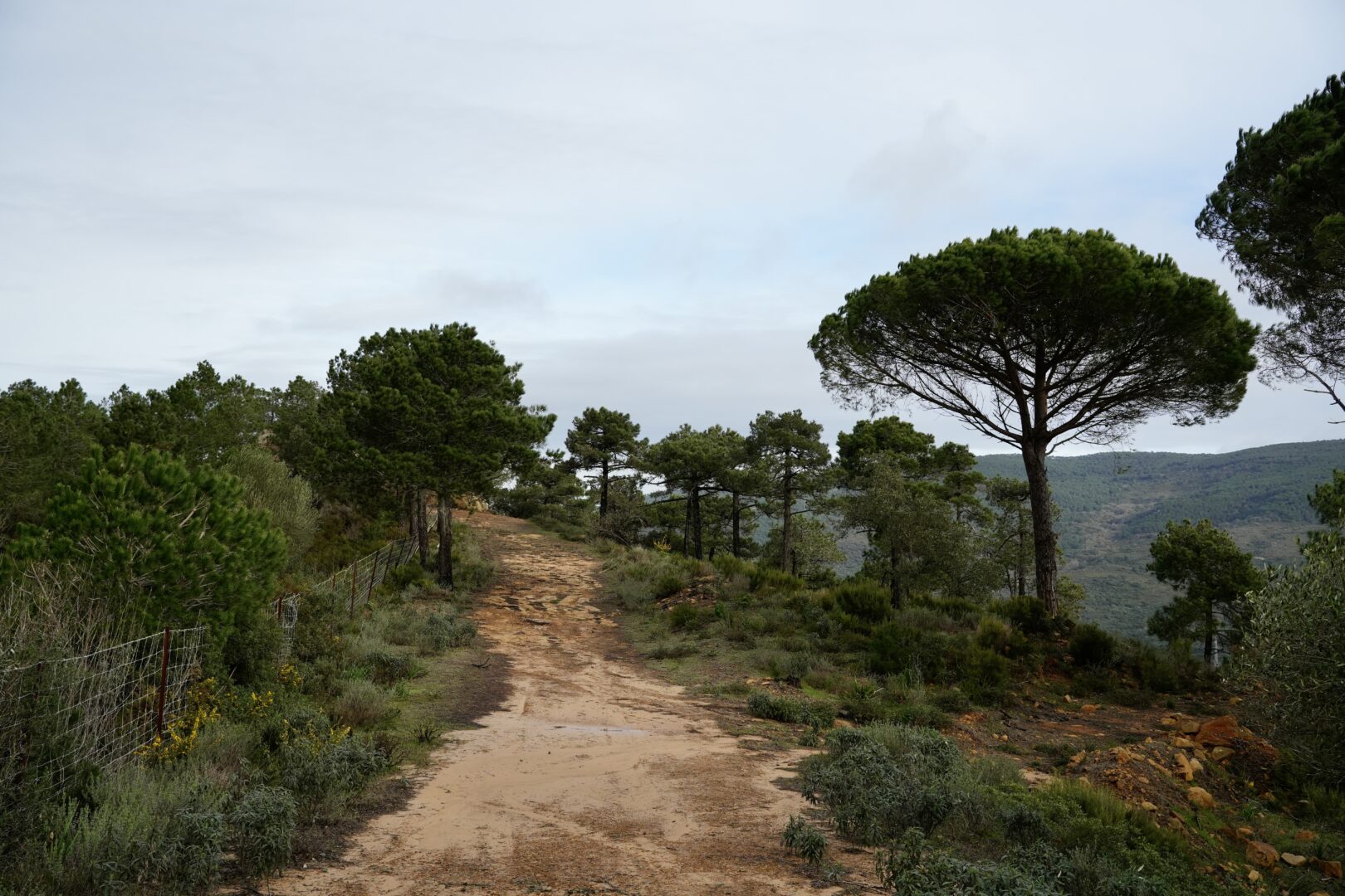 2026. El Palancar. (AG)