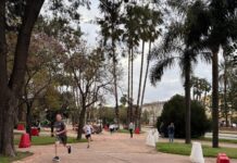 La octava Carrera Solidaria del colegio San Ramón Nonato recauda fondos para el Proyecto Por Una Sonrisa