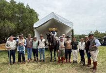 Amigos del Caballo entrega sus galardones en una edición marcada por el éxito de participación y la elegancia de los jinetes