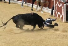 FOTOS | ‘Billetero’ deja una jornada de emoción y sustos en La Montera
