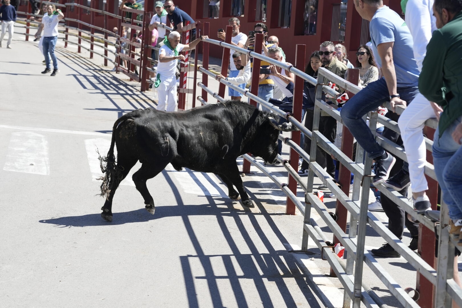 2026. Toro Embolao. Resurreccion (AG) (291)