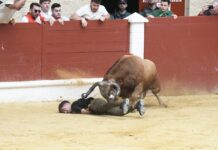 FOTOS | Impresionantes imágenes de la cogida de un mozo en La Montera