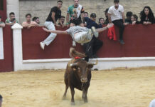 FOTOS | Carreras al límite y tensión en el albero: ‘Billetero’ y ‘Cordobés’ encienden el Toro Embolao