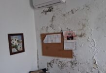 USB denuncia las condiciones insalubres en las instalaciones municipales del Edificio Maestro Quico y la Jefatura de Policía de Los Barrios