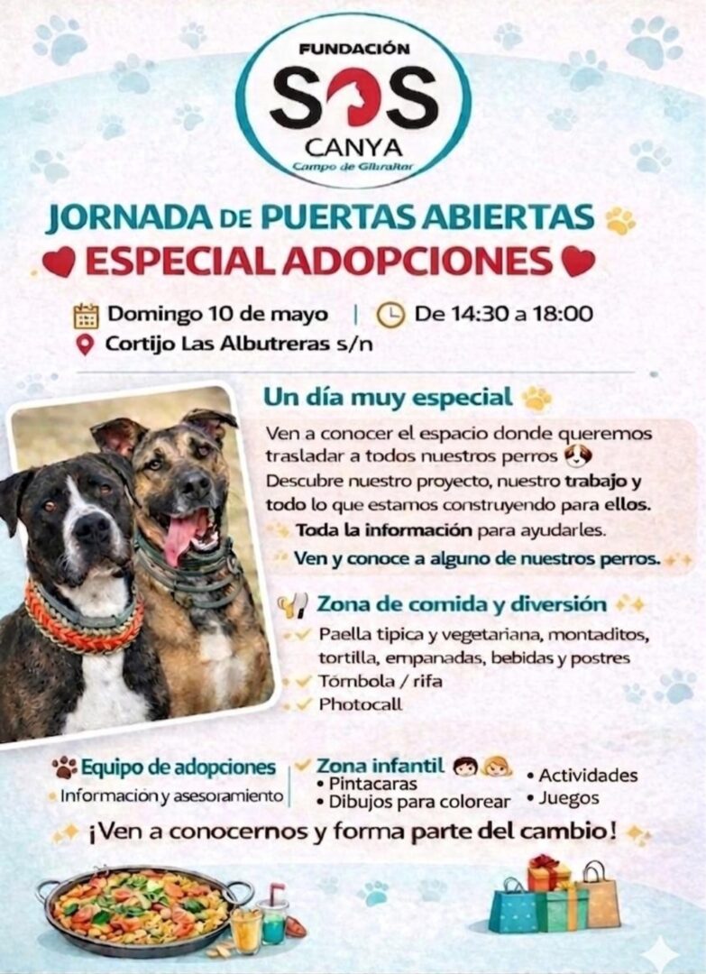Cartel 2026