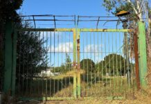 El PSOE de Los Barrios exige plazos urgentes y el inicio de las obras para la recuperación de la piscina de verano
