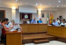 El Pleno aprueba la bonificación del ICIO para impulsar el proyecto viviendas de Guadacorte SA