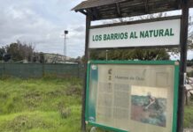 Perea acusa a Los Barrios 100×100 y PP de usar los huertos de ocio para “autobombo” mientras sufren cortes de agua