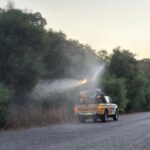 Salud ejecuta nuevos tratamientos larvicidas en Guadacorte y Palmones dentro del plan de prevención del Virus del Nilo